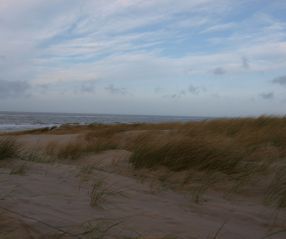 Strandslag Voordijk